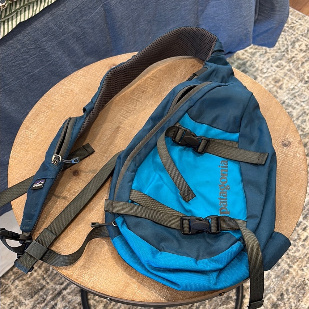 Patagonia Blue Sling Bag